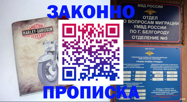 прописка для школы в Камышлове